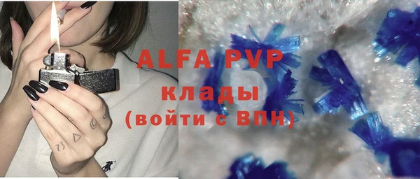 эйфоретик Пересвет