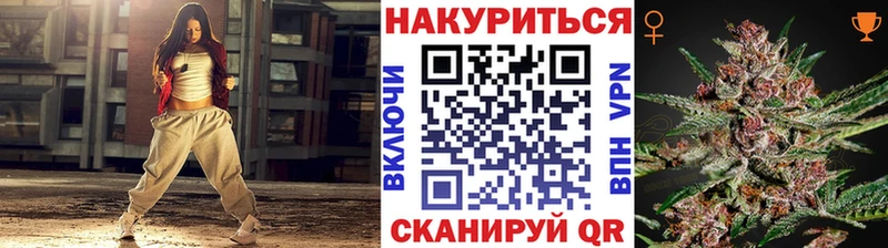Бошки Шишки планчик Котельниково